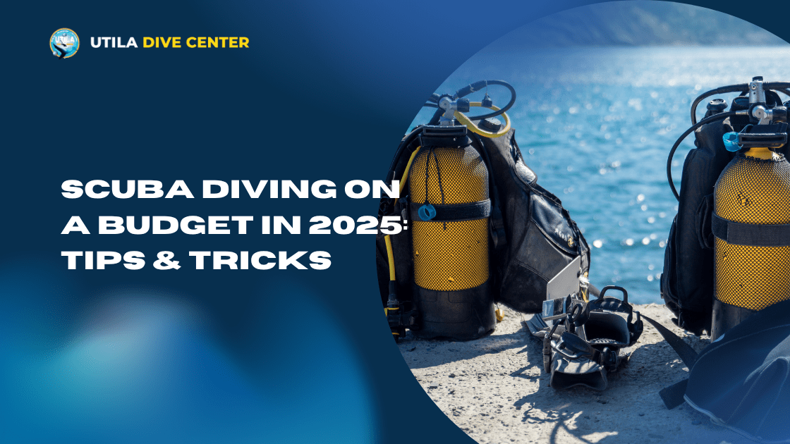 SCUBA Diving on a Budget in 2025: Tips & Tricks