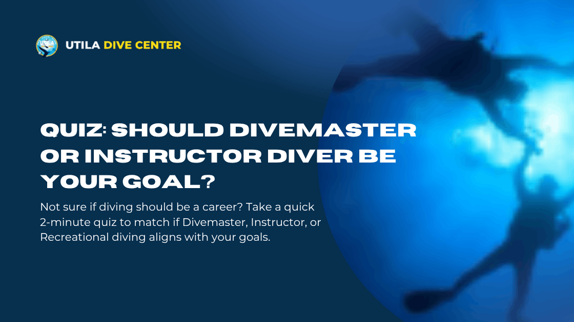 Quiz: Should Divemaster or Instructor Diver Be Your Goal?