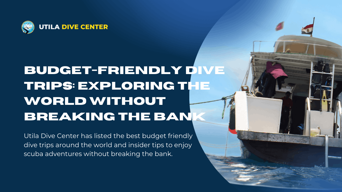 Affordable Dive Trips In World Without Breaking the Bank