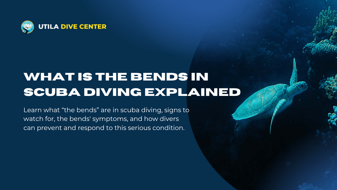What is the Bends in SCUBA Diving Explained