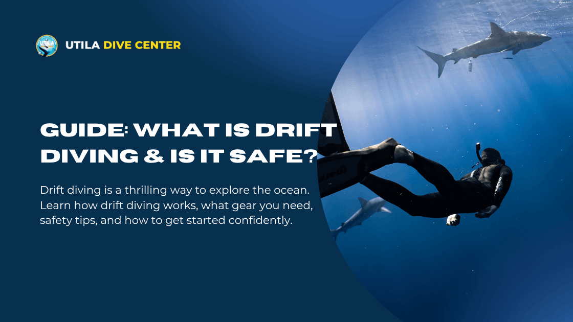 Guide: What is Drift Diving & Is It Safe?
