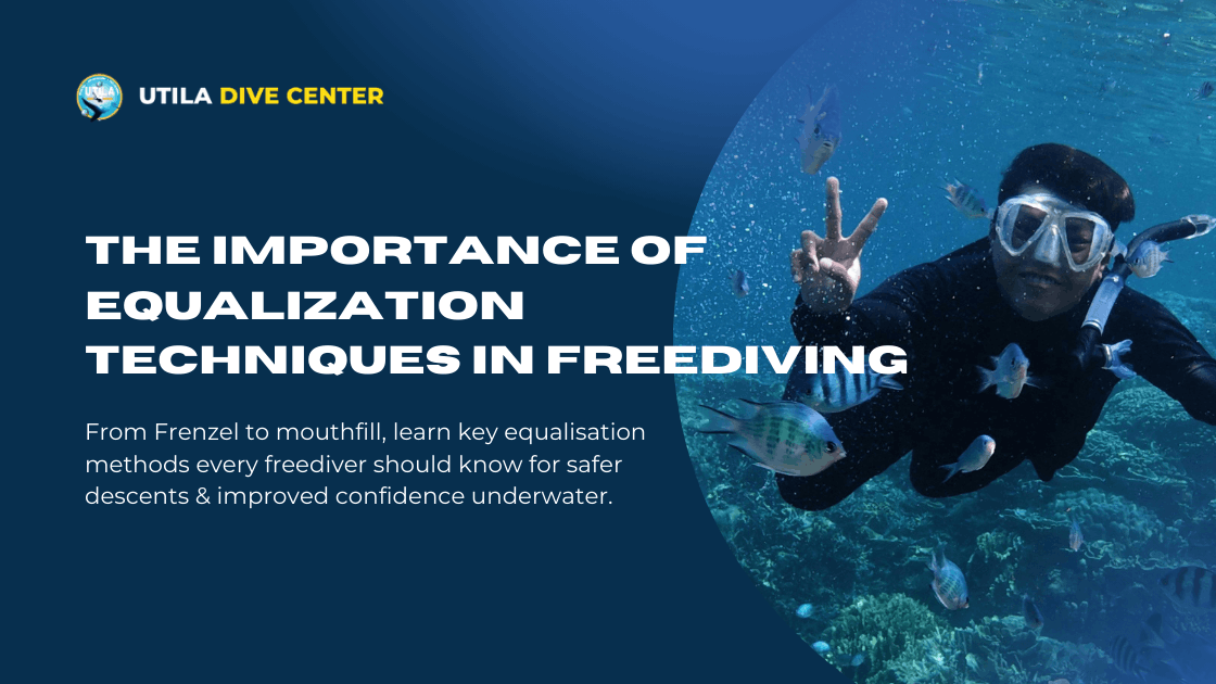 The Importance of Equalization Techniques in Freediving