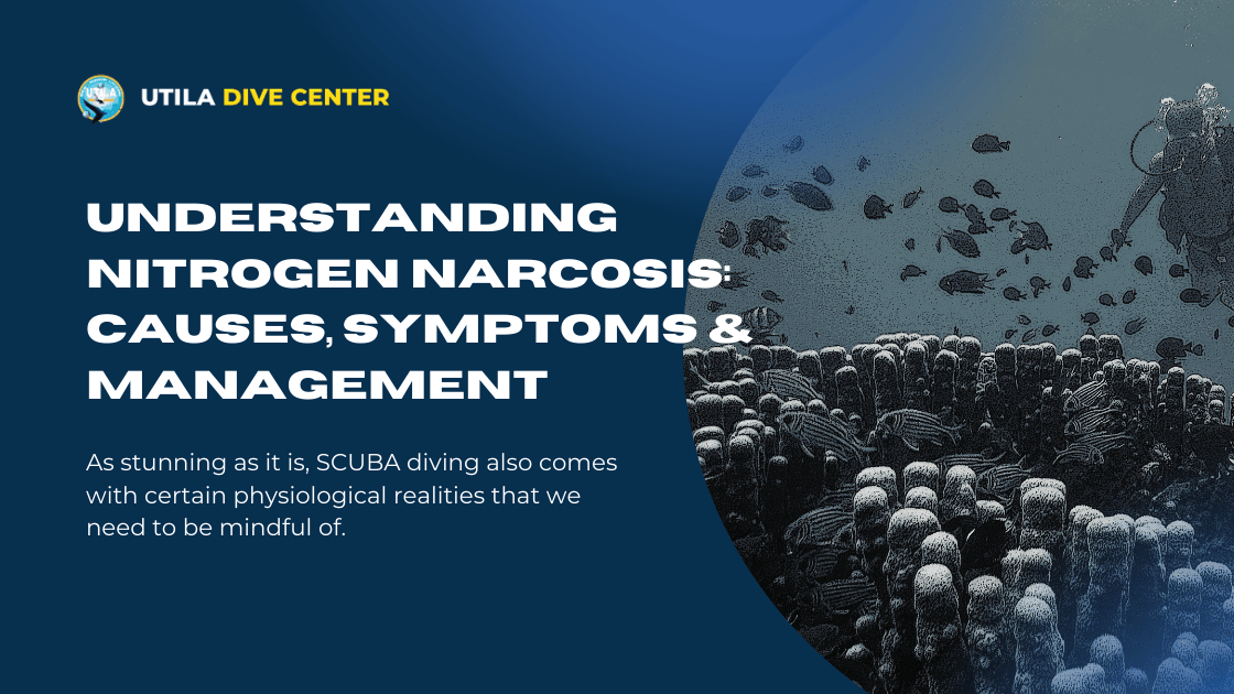 Understanding Nitrogen Narcosis: Causes, Symptoms & Management