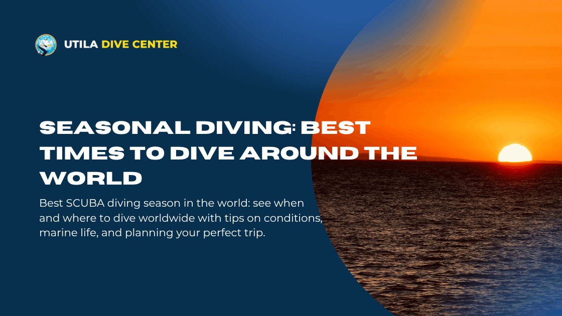 Seasonal Diving: Best Times to Dive Around the World