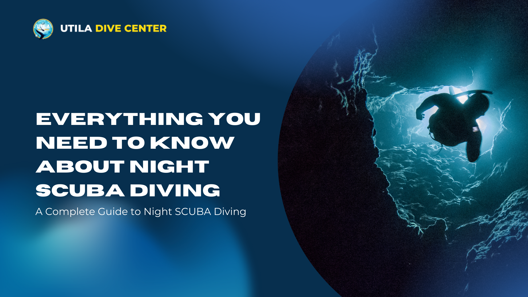 Everything you need to know about night SCUBA diving