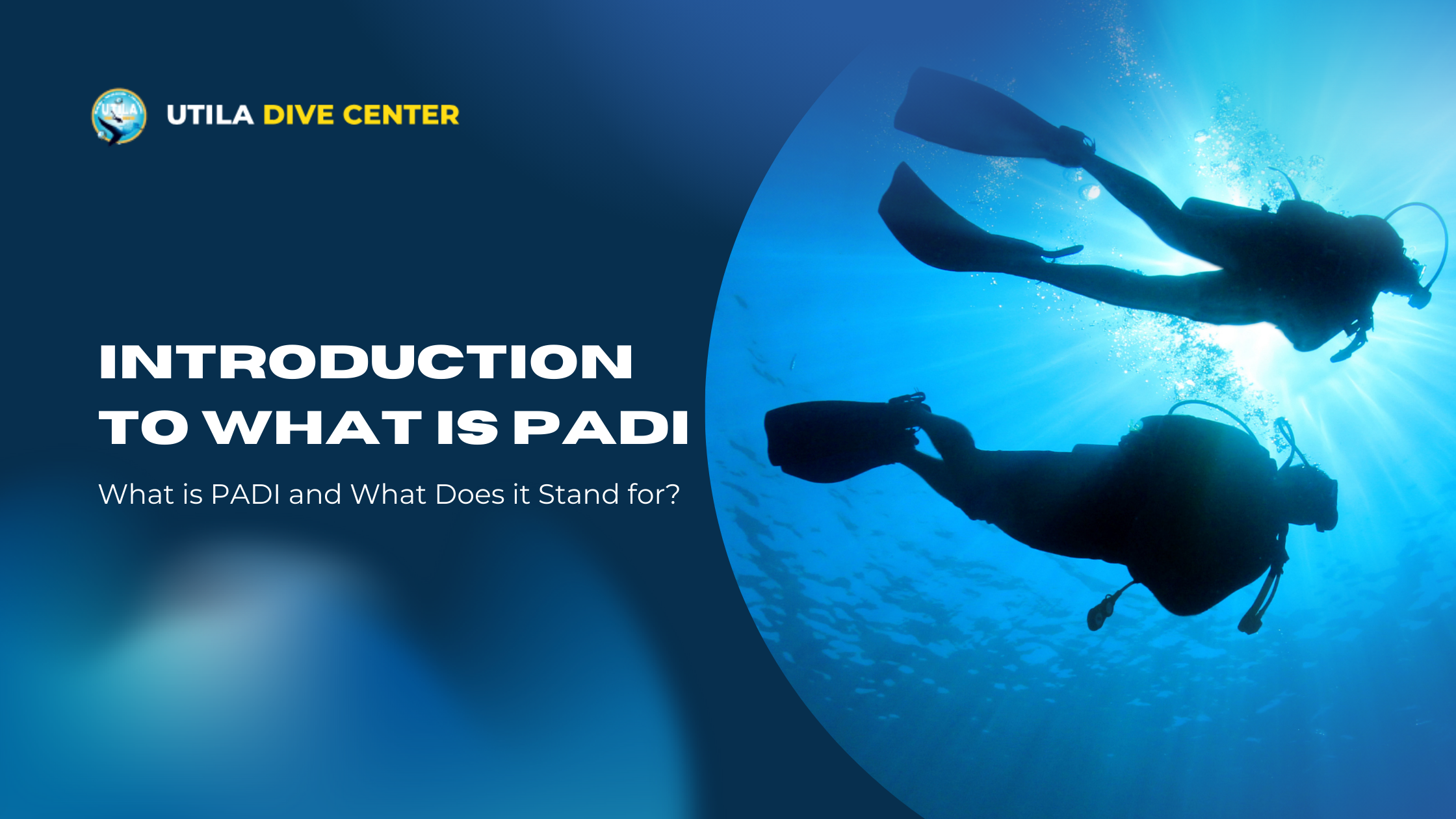 Introduction to What is PADI