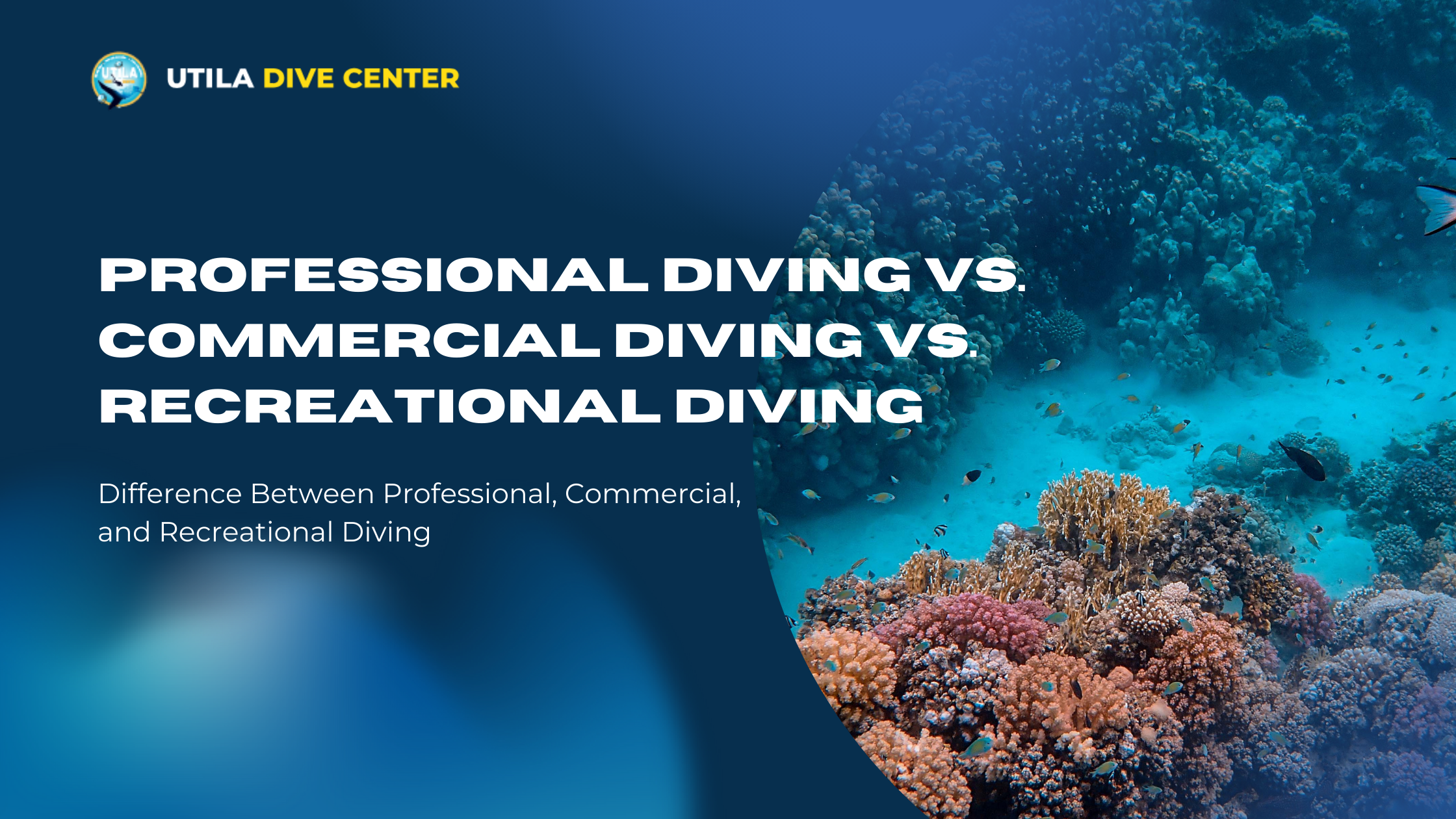 Professional Diving Vs. Commercial Diving Vs. Recreational Diving