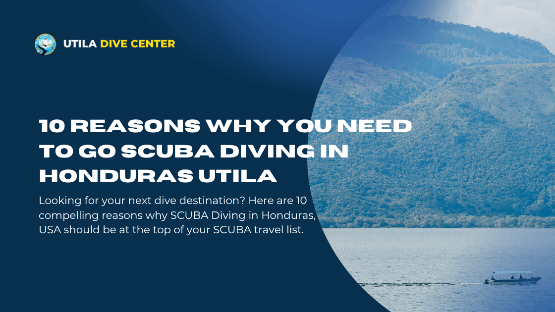 10 Reasons Why You Need to Go SCUBA Diving in Honduras Utila