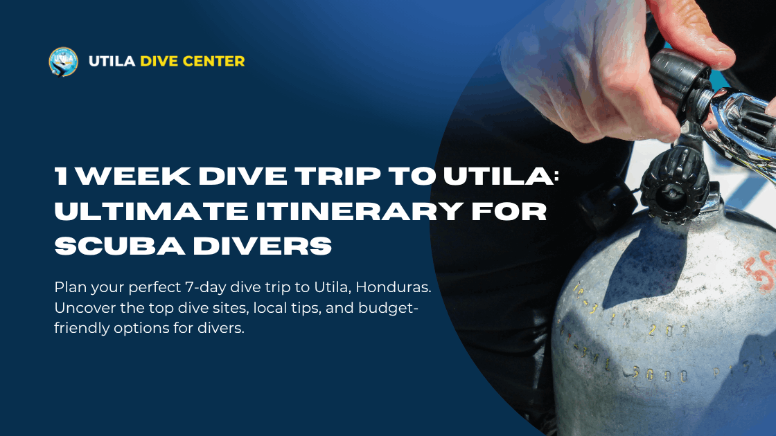 1 Week Dive Trip to Utila: Ultimate Itinerary for SCUBA Divers