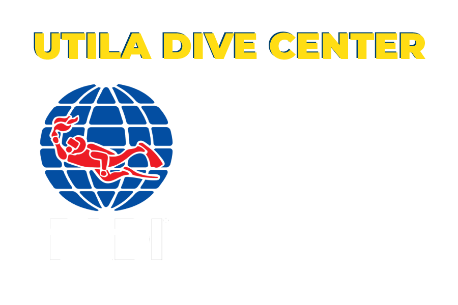 UDC Pro 5 Star CDC Logo